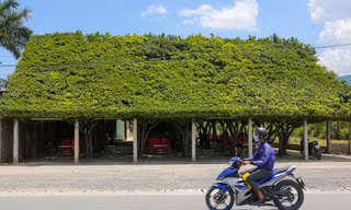 Quán cà phê làm từ 24 cây si
