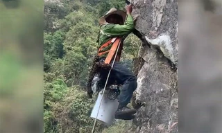 Treo mình trên vách đá lấy mật ong