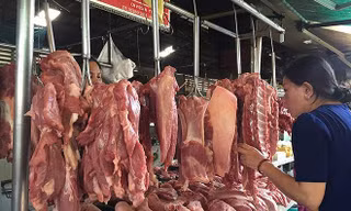 Lý giải nguyên nhân giá thịt lợn tăng cao kỷ lục