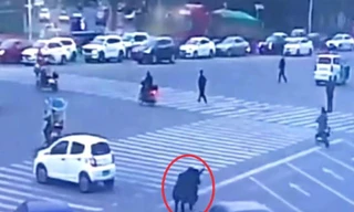 Bò Tây Tạng xổng chuồng náo loạn trung tâm thành phố