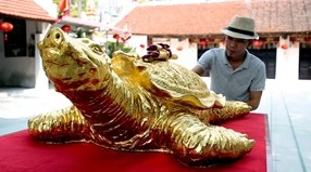 Chiêm ngưỡng cụ rùa vàng khổng lồ nặng gần 2 tạ giá trăm triệu đồng
