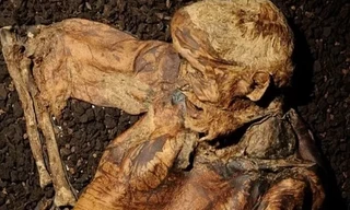 Xác ướp người đàn ông 2.000 năm còn nguyên bộ râu