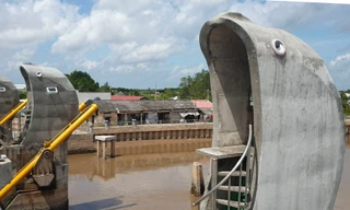 Cống thủy lợi hình cá heo