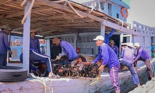 Tiểu thương tích trữ lương thực đón bão Matmo