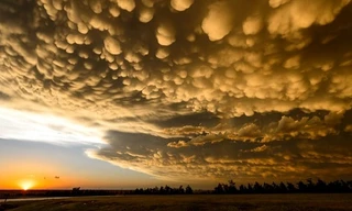 Mây vảy rồng báo trước cơn giông bão