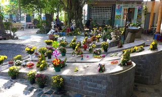 Cha xứ 9 năm chôn cất thai nhi