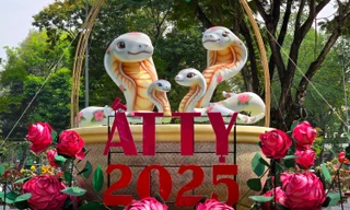 Rì-viu Hội hoa Xuân TP.HCM: Chốn đẹp, cảnh thơ cho Gen Z tha hồ "bung lụa"