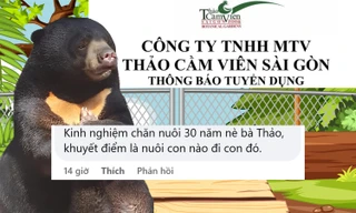"Nhà tuyển dụng" Thảo Cầm Viên đứng hình trước loạt ứng viên siêu bá đạo