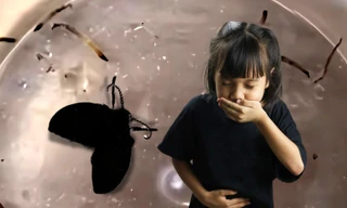 Trung Quốc: Bé gái 8 tuổi nôn ra sinh vật sống, "thủ phạm" ẩn trong nhà vệ sinh