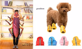 Cười xỉu với những món đồ "sinh ra không biết với mục đích gì" trên shop online
