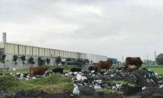 Tại Cụm công nghiệp làng nghề Mẫn Xá (Yên Phong, Bắc Ninh), chủ đầu tư là Công ty cổ phần Tập đoàn Hanaka đã phân lô cho thuê giá cao nhưng chưa có khu xử lý rác thải