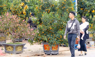 Quận Long Biên đảm bảo Tết vui, đầm ấm cho Nhân dân