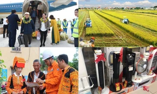 Tin mới nhất về tiền lương; giá gạo Việt tự dưng... bất động