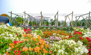 Ngàn hoa Xuân khoe sắc tại lễ hội hoa lớn nhất miền Bắc