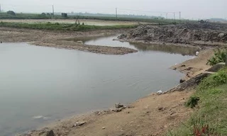 Bé gái 13 tuổi chết đuối khi đi chăn trâu