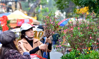 Chợ hoa Hàng Lược là nơi thu hút nhiều người dân Thủ đô đến thăm quan, mua sắm vào thời điểm áp Tết.