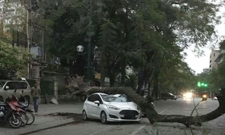 Hiện trường vụ việc.