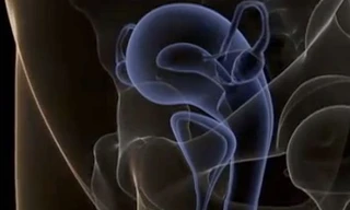 Chìa khóa ‘lên đỉnh’ của người đẹp nằm ở đâu?