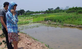 Bé gái 5 tuổi suýt bị dìm chết dưới ruộng rau