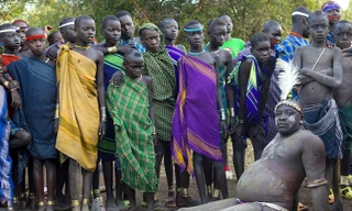 Vỗ béo bằng máu bò để dễ kiếm vợ