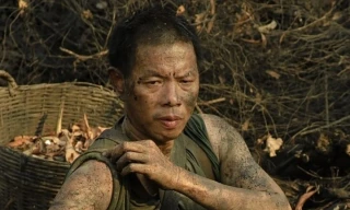 Thái Hòa được cứu