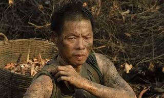 Thái Hòa được cứu