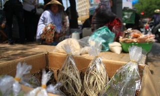 Góc phố nhỏ chuyên bán sâu bọ, cào cào, châu chấu... bên hông Thuận Kiều Plaza (đường Hồng Bàng, Q.5.