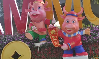 Hình ảnh 'Trâu mặc áo dài' tô điểm sắc xuân Tân Sửu ở TP HCM 