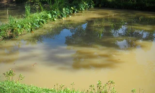 Hà Tĩnh: Học sinh lớp 8 chết đuối dưới ao cá