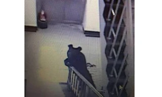 Con gấu xuất hiện bên trong trường học ở Trung Quốc