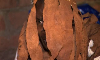 Một tên lang băm được thuê để săn trẻ em.