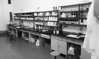 Phòng thí nghiệm của giáo sư Zhang