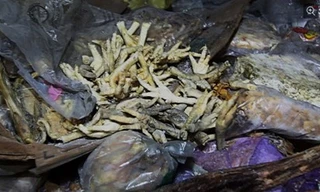 Chân gà thối bị thu giữ ở tỉnh Hồ Nam, Trung Quốc