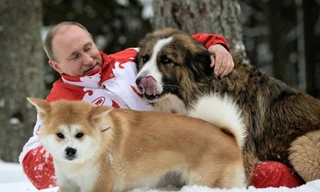  Tổng thống Nga Vladimir Putin cùng 2 chú cún cưng Yum và Buffy