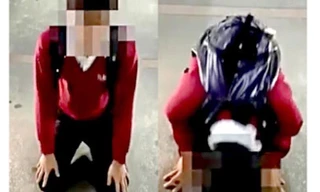 Các em học sinh lần lượt quỳ lạy xin lỗi giáo viên