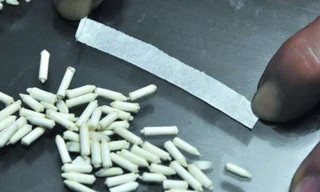 Gạo già làm bằng giấy cuộn mới được phát hiện ở Quảng Đông, Trung Quốc