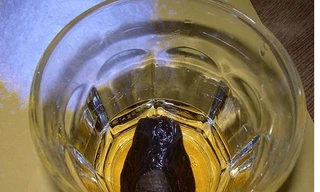 Cocktail ngâm... ngón chân người