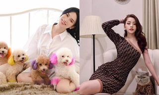 Dàn “boss” siêu cấp đáng yêu của sao Việt, gây ấn tượng nhất là “hậu cung” của Sĩ Thanh