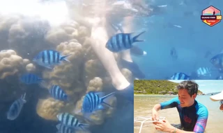 Quang Vinh bị chỉ trích gay gắt về hành động ảnh hưởng tiêu cực đến sinh vật biển