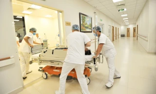 Ảnh minh hoạ: Internet