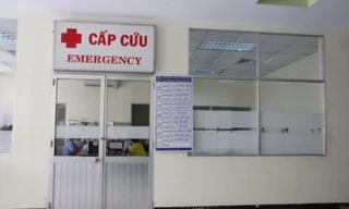 Ảnh minh hoạ: Internet