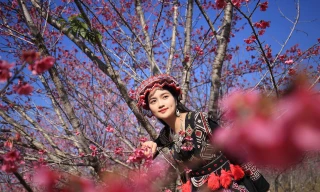 Nàng Á khôi ‘gieo mầm’ ấm áp mùa đông đón Xuân Ất tỵ 2025
