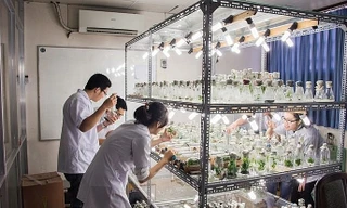 Gần 100 thí sinh được tuyển thẳng vào trường ĐH Khoa học Tự nhiên