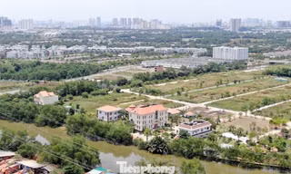 Doanh nghiệp địa ốc đua nhau thay 'tướng' hậu dịch COVID-19