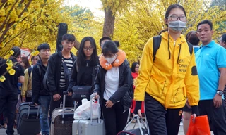 Thêm nhiều trường đại học tặng vé xe về Tết cho sinh viên