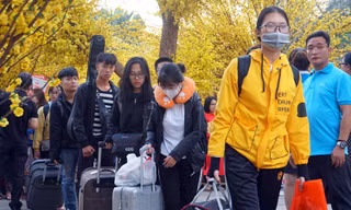 Thêm nhiều trường đại học tặng vé xe về Tết cho sinh viên