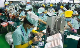 Người lao động có trình độ cao ít bị ảnh hưởng bởi dịch COVID-19