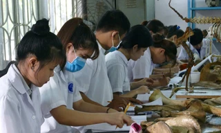 Điểm sàn của trường ĐH Nông Lâm TP. HCM bao nhiêu?