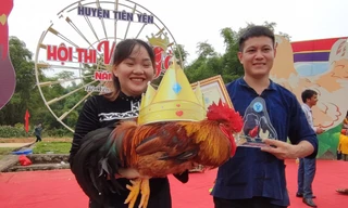 'Vua gà Tiên Yên' - cuộc thi có một không hai