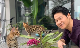 Mèo độc lạ và món lì xì không giống ai của ca sĩ Trọng Tấn